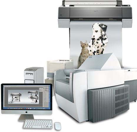 f&m Druckmaschine